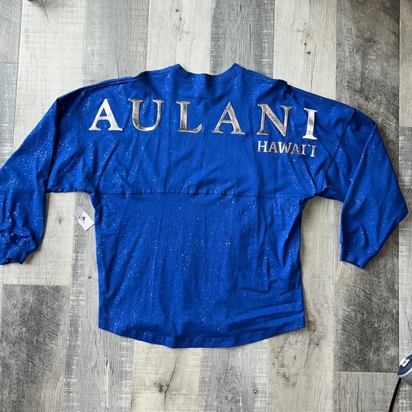 Disney Sweaters - AULANI HAWAII LIMITED DISNEY JERSEY